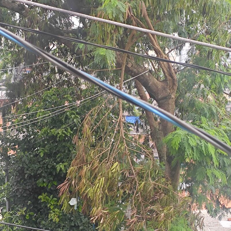 Imagem da publicação