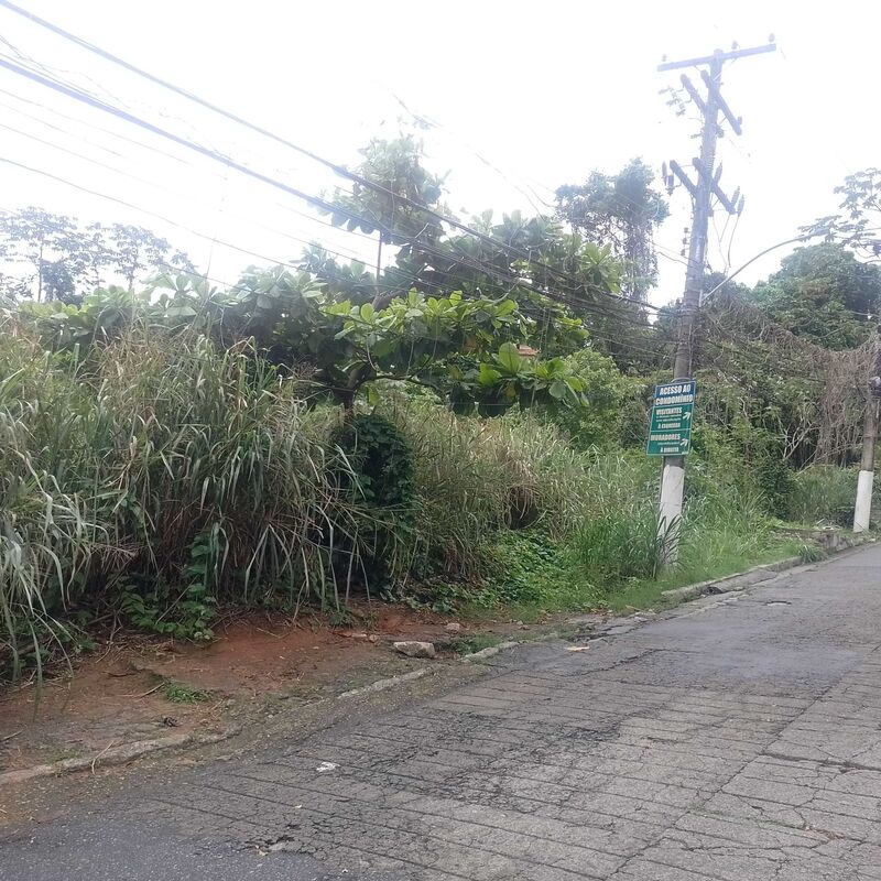Imagem da publicação