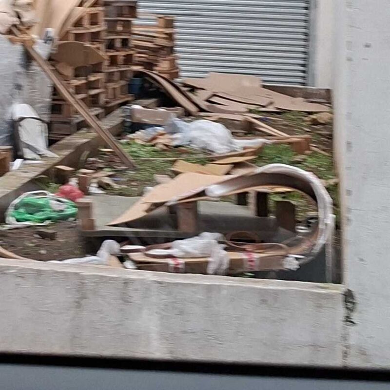 Imagem da publicação