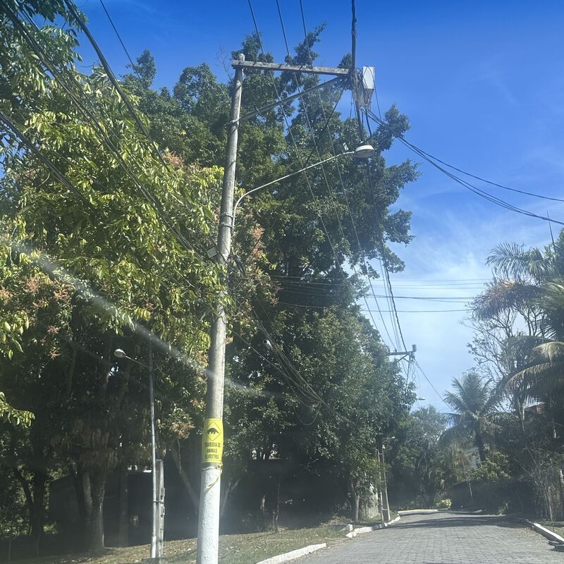 Imagem da publicação