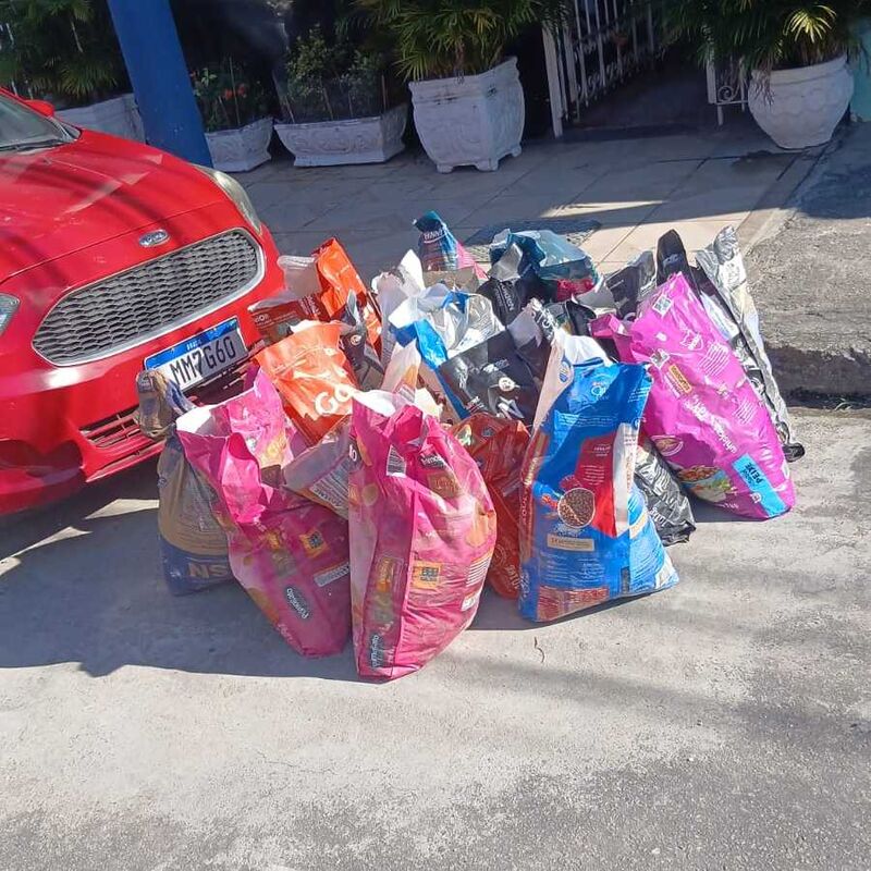 Imagem da publicação