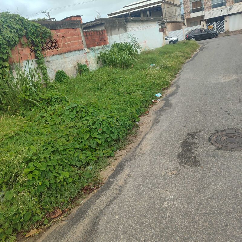 Imagem da publicação