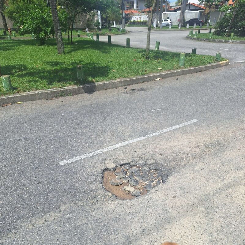 Imagem da publicação