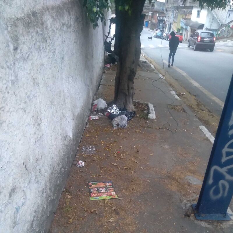 Imagem da publicação