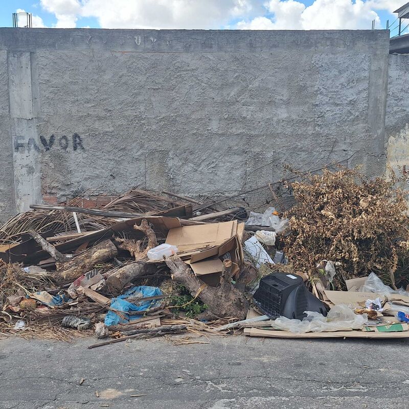 Imagem da publicação