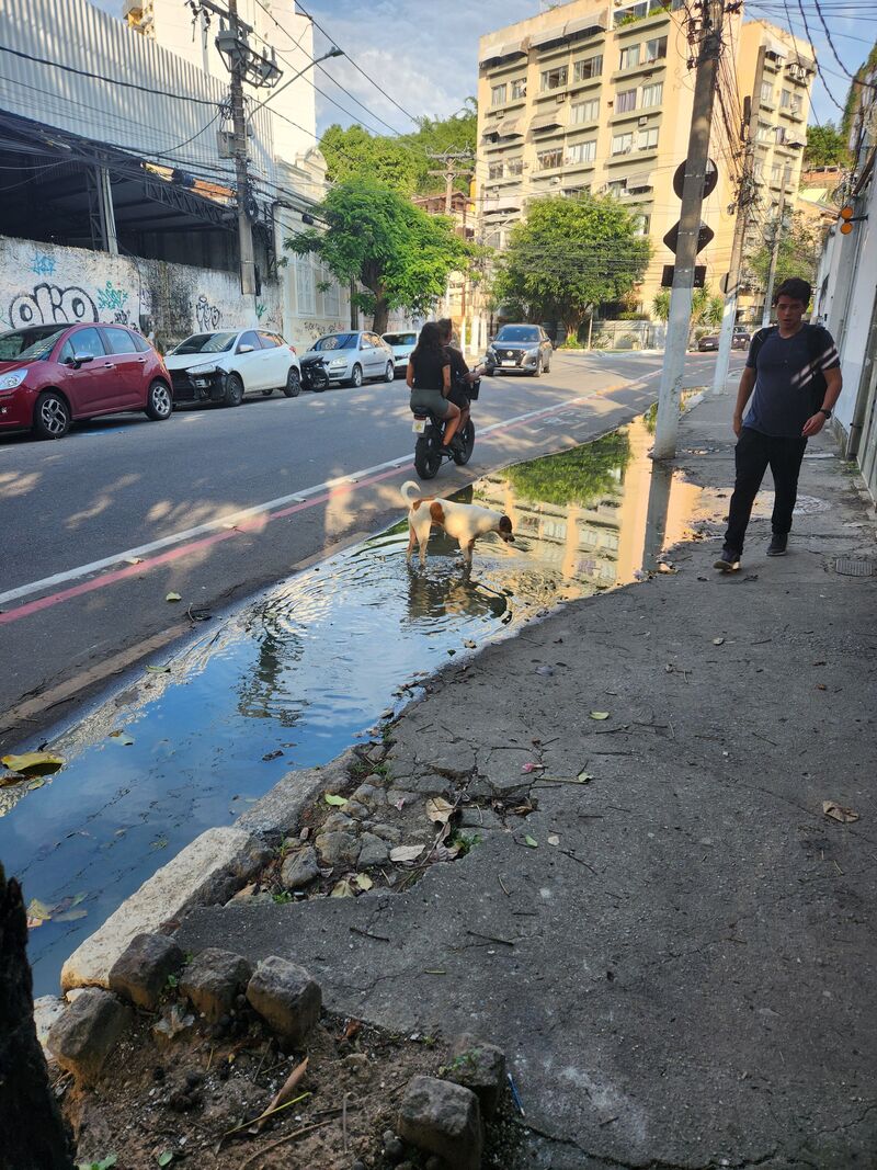 Imagem da publicação