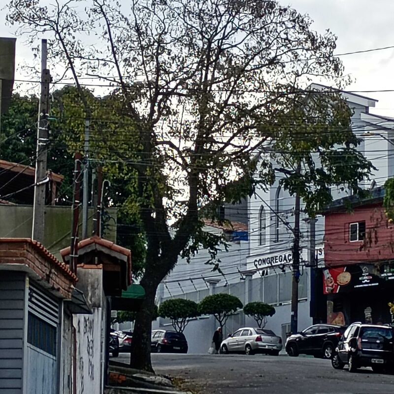 Imagem da publicação