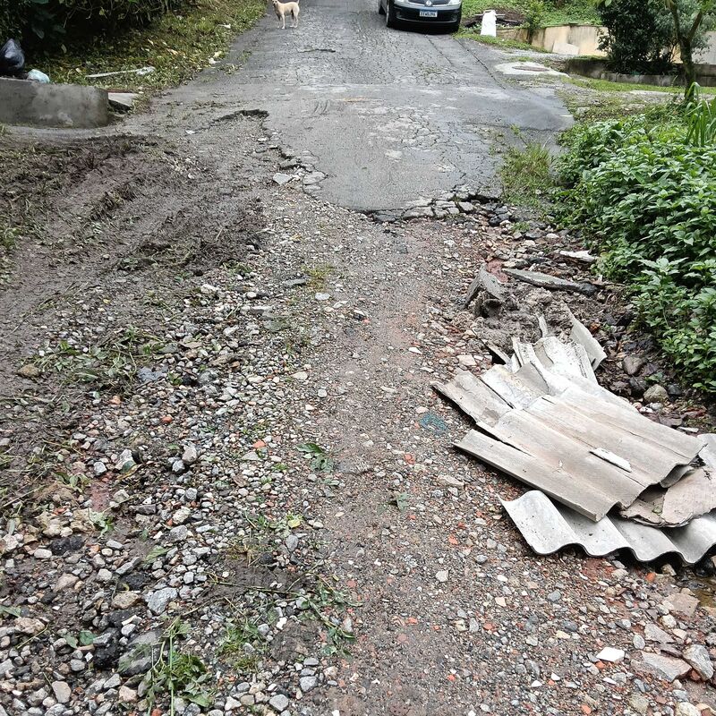 Imagem da publicação