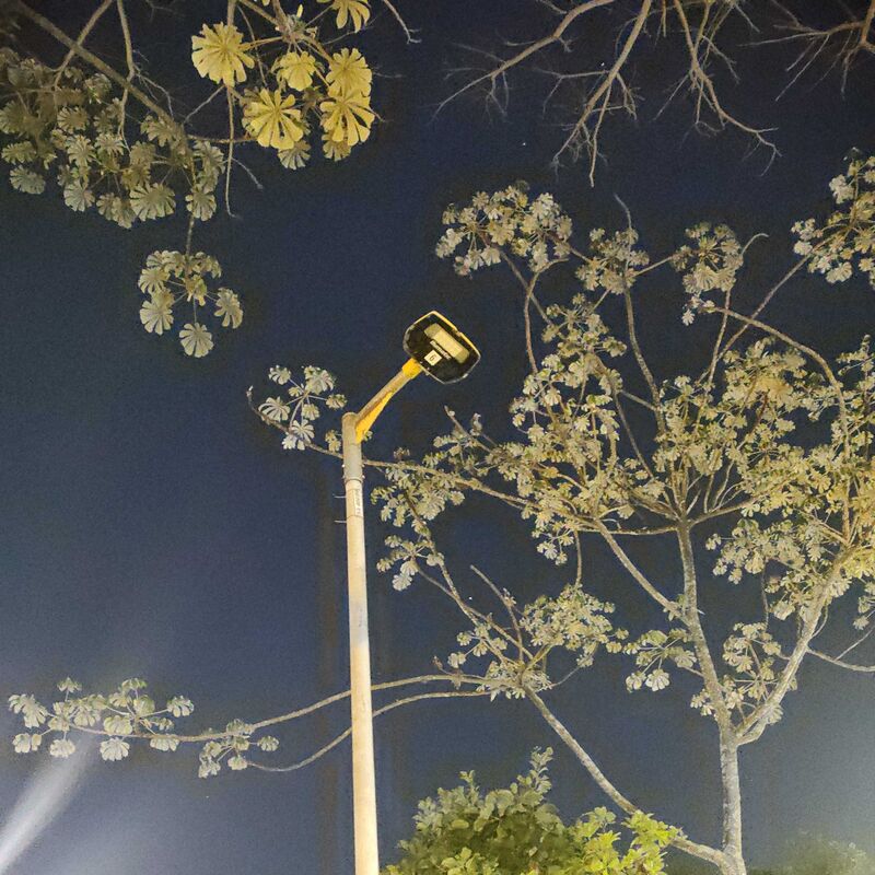 Imagem da publicação