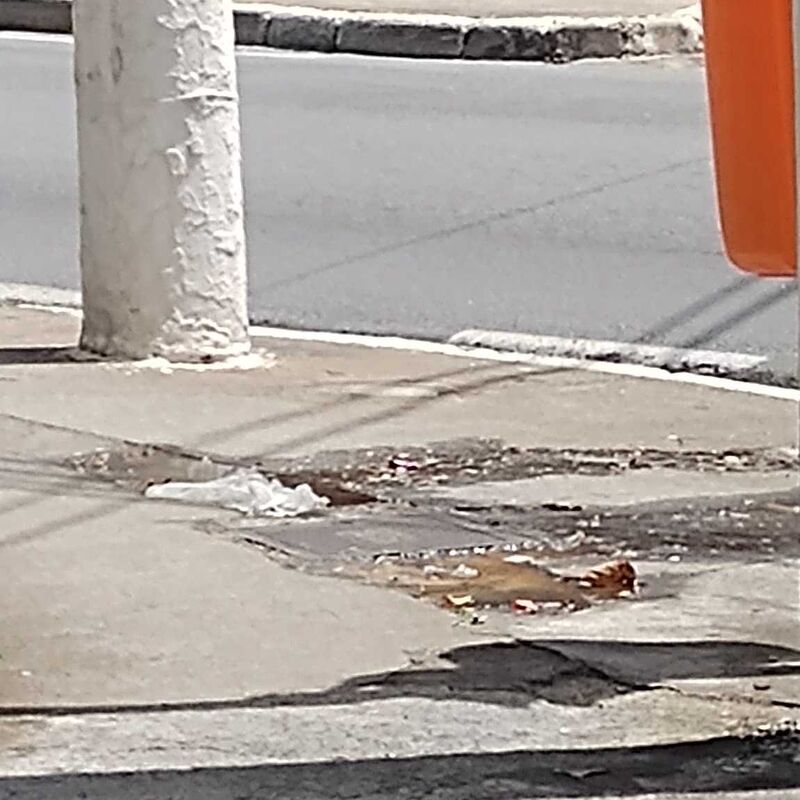 Imagem da publicação