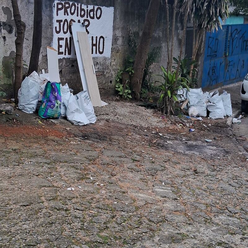 Imagem da publicação