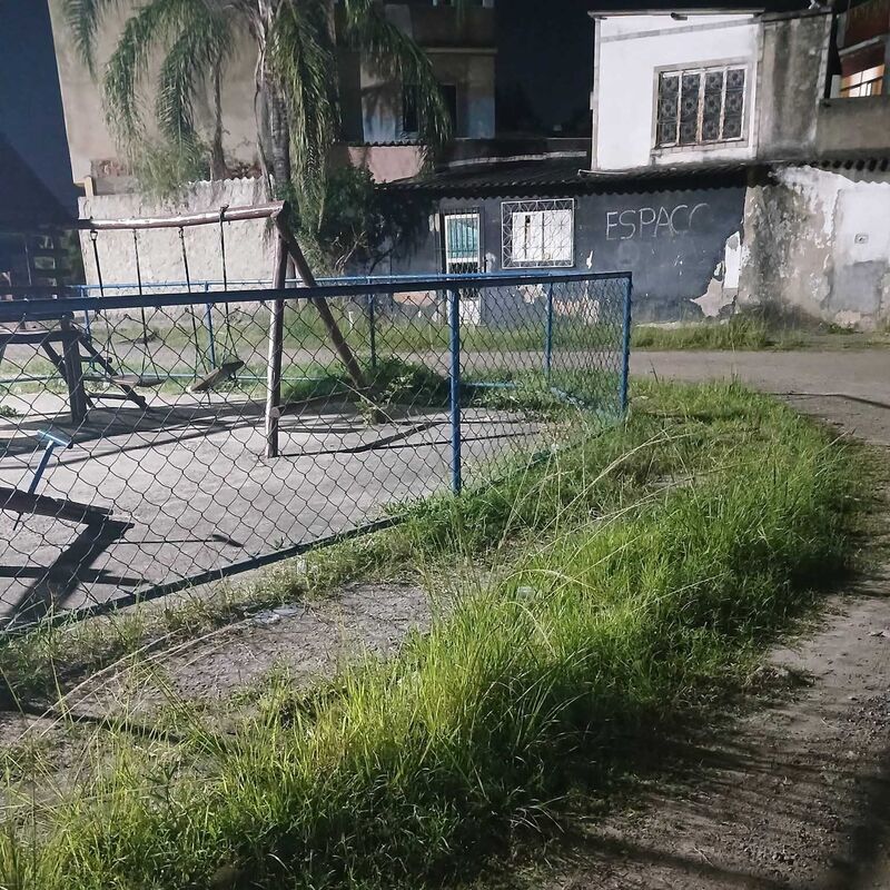 Imagem da publicação