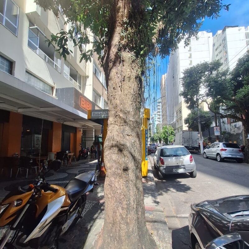 Imagem da publicação