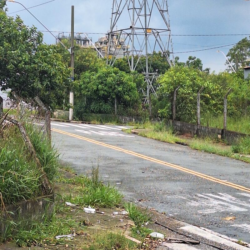 Imagem da publicação