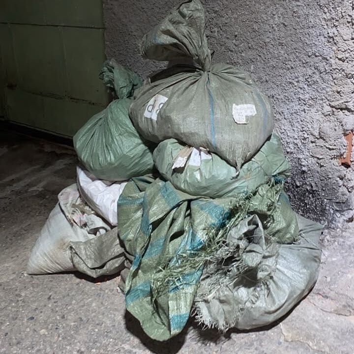 Imagem da publicação