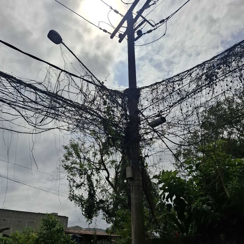 Imagem da publicação
