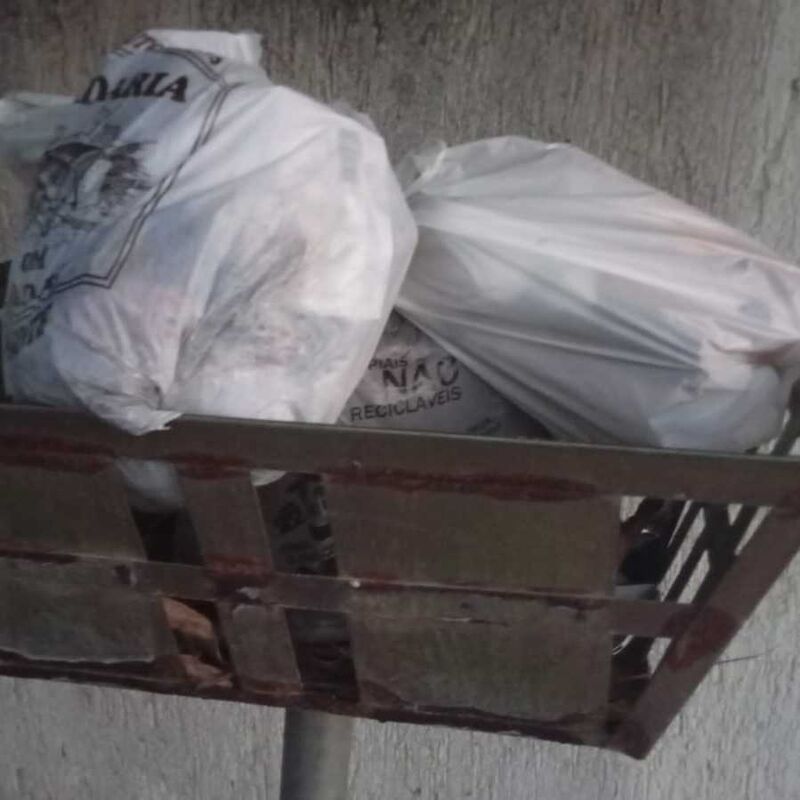 Imagem da publicação