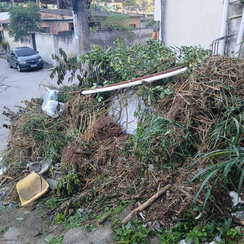 Imagem da publicação