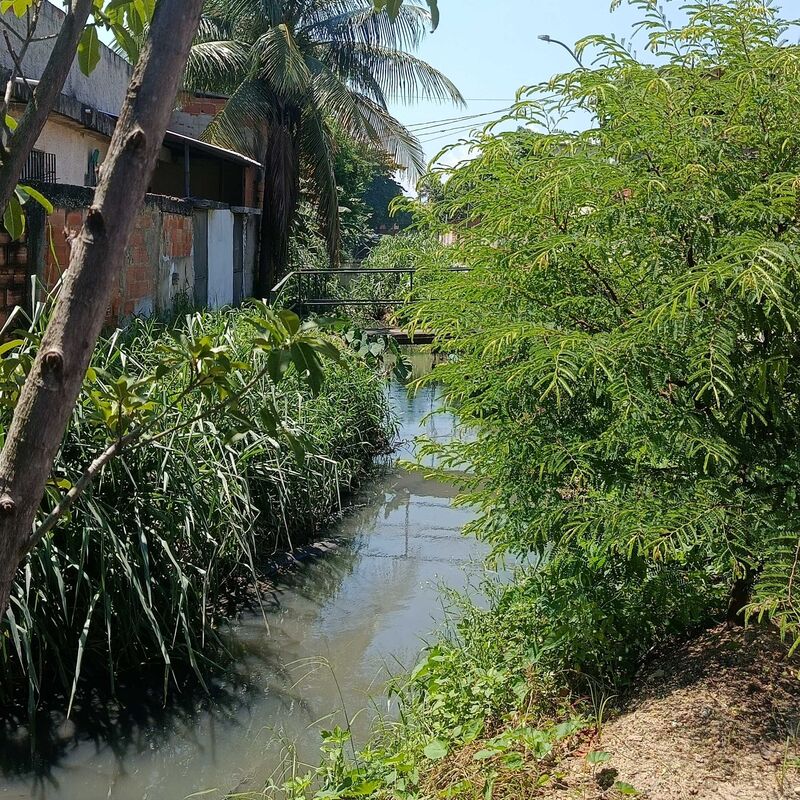 Imagem da publicação