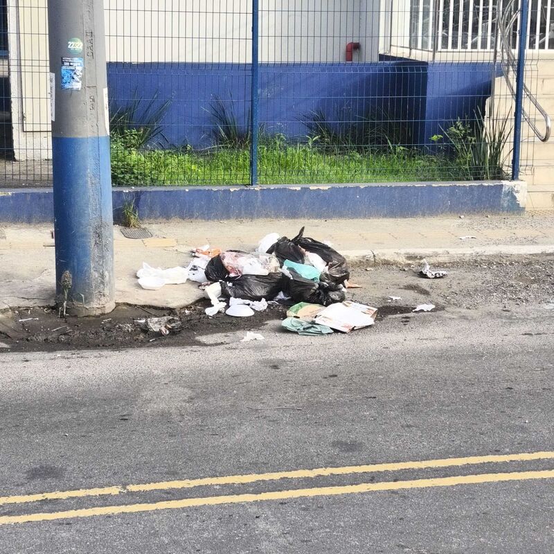 Imagem da publicação