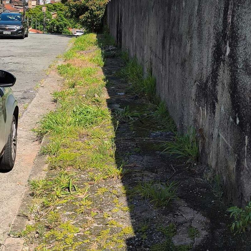 Imagem da publicação