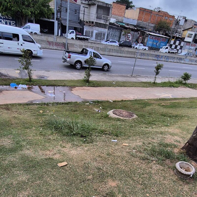 Imagem da publicação