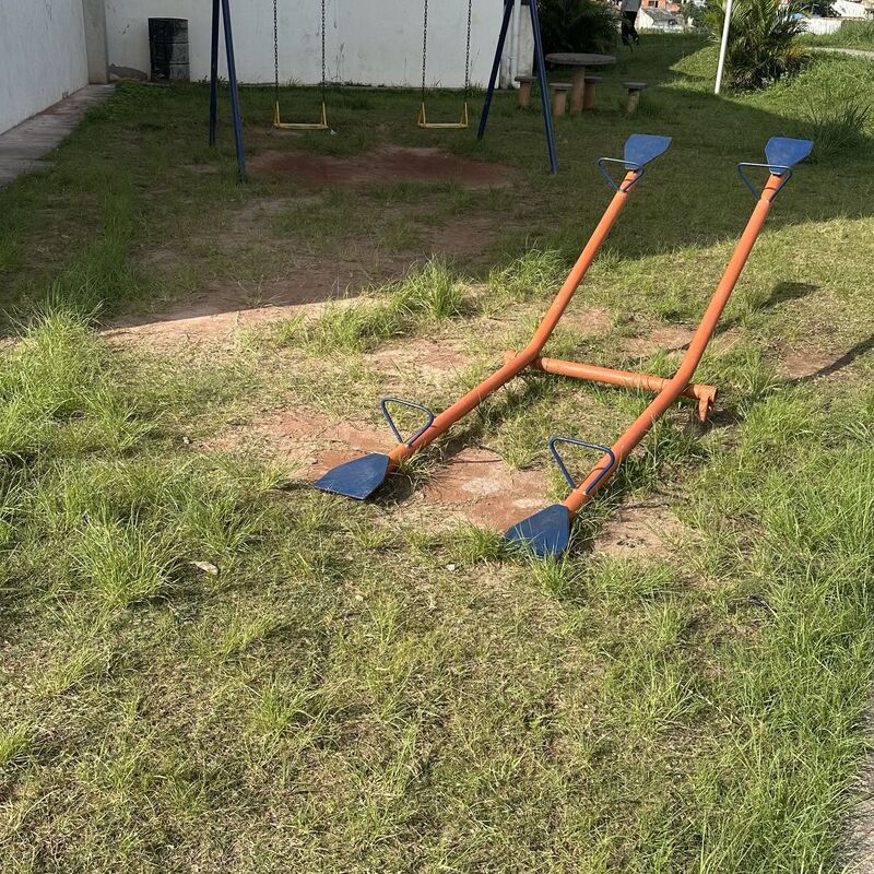 Imagem da publicação