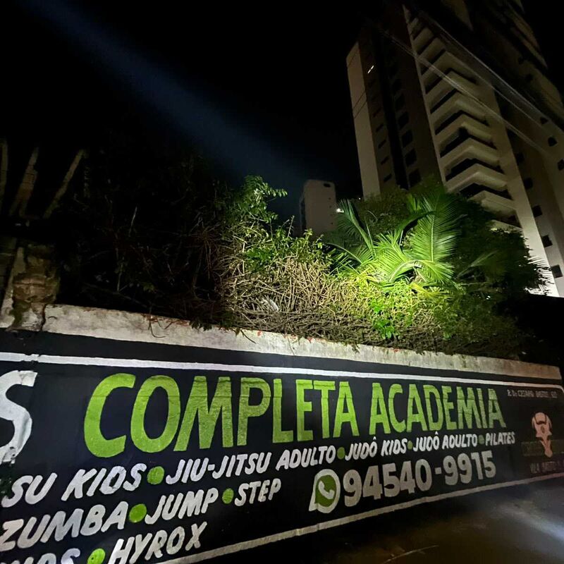 Imagem da publicação