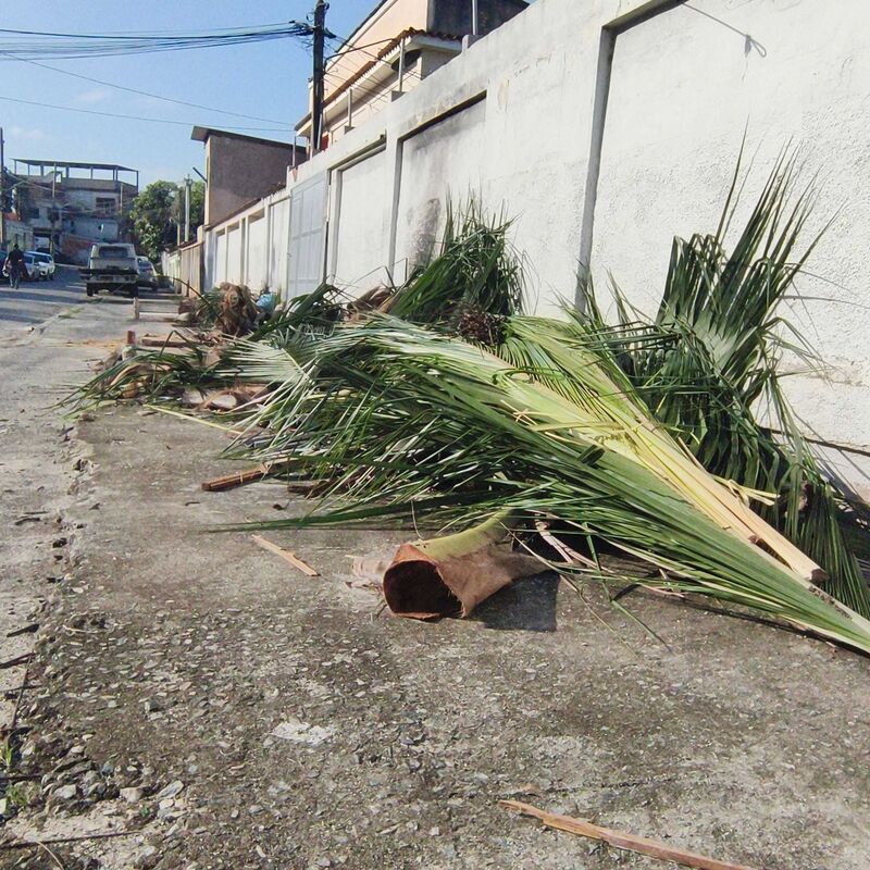 Imagem da publicação