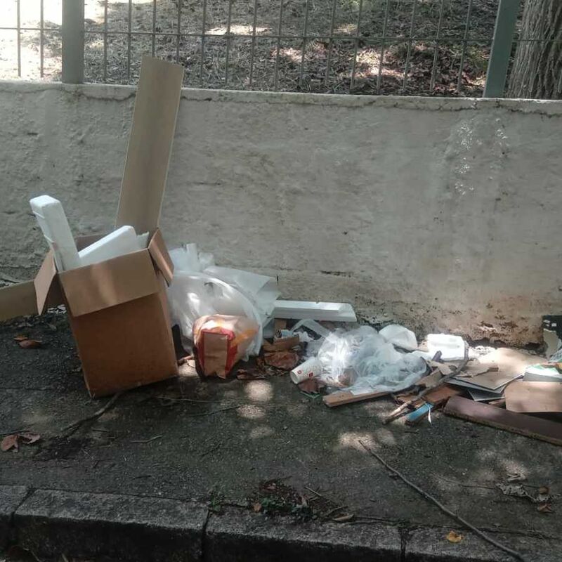 Imagem da publicação