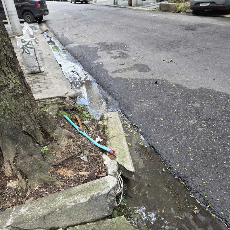 Imagem da publicação