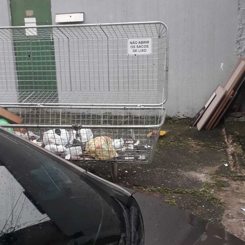 Imagem da publicação