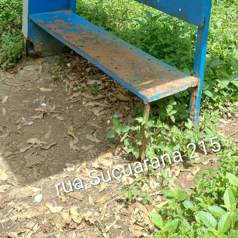 Imagem da publicação