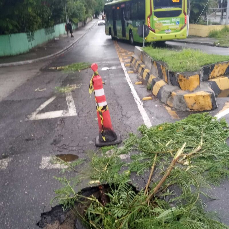 Imagem da publicação