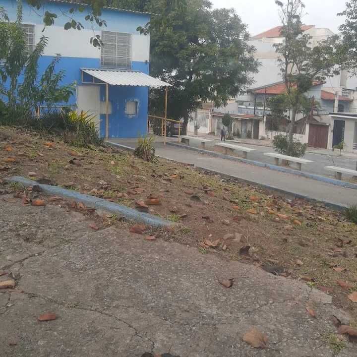 Imagem da publicação