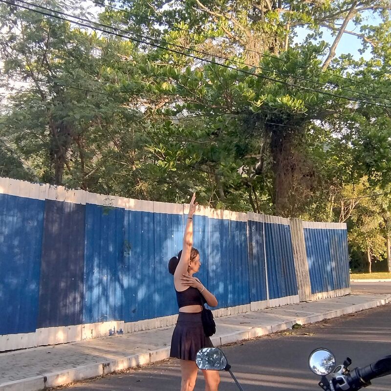 Imagem da publicação