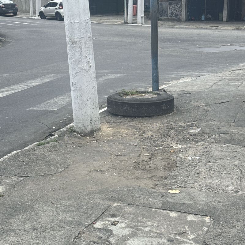 Imagem da publicação