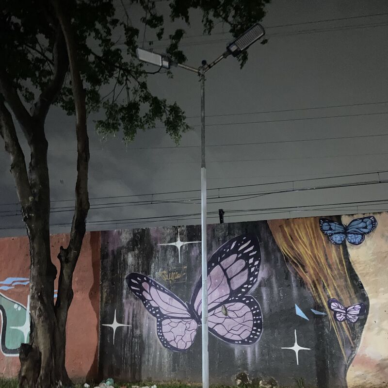 Imagem da publicação