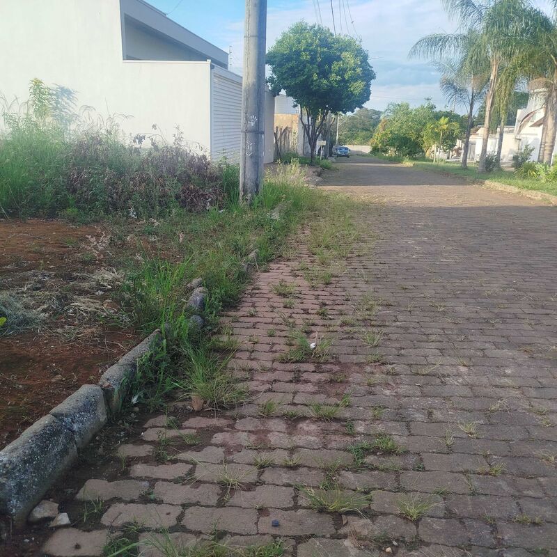 Imagem da publicação