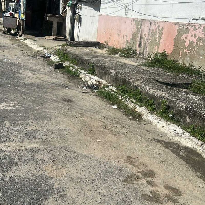 Imagem da publicação