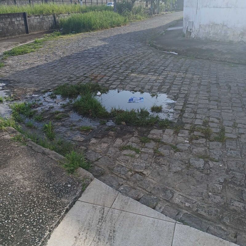 Imagem da publicação