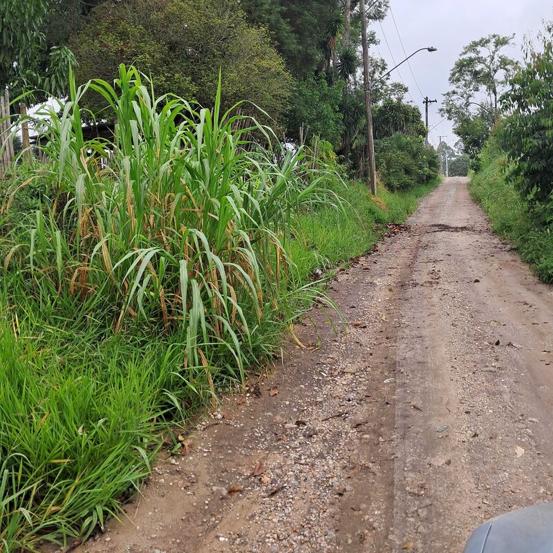 Imagem da publicação