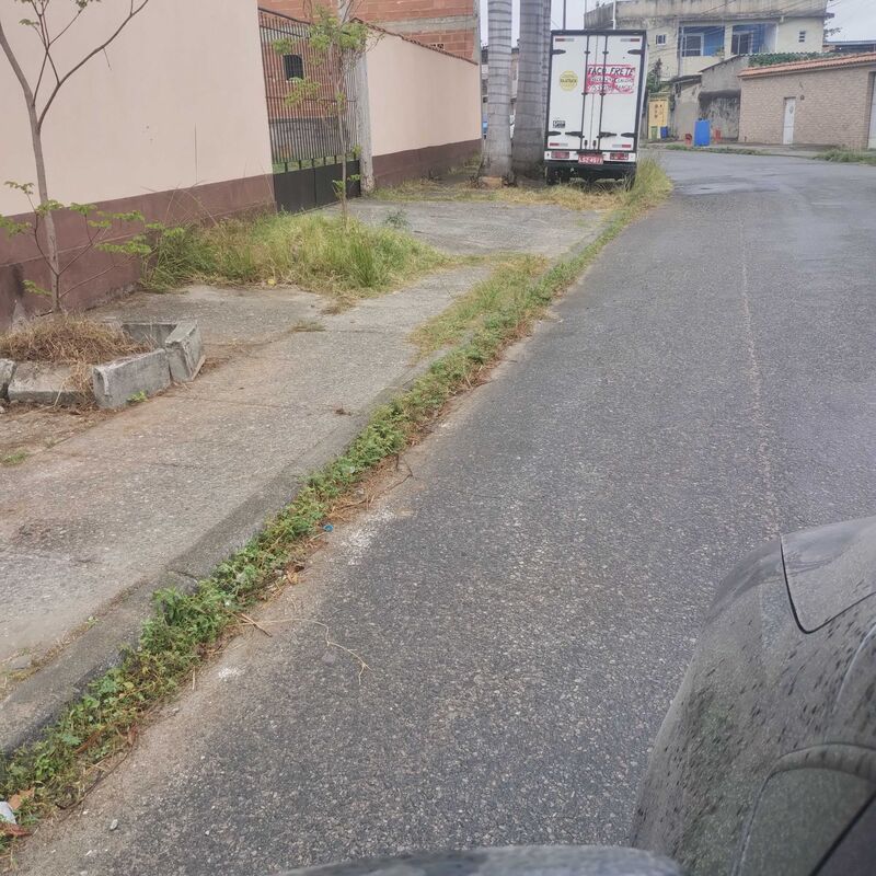 Imagem da publicação