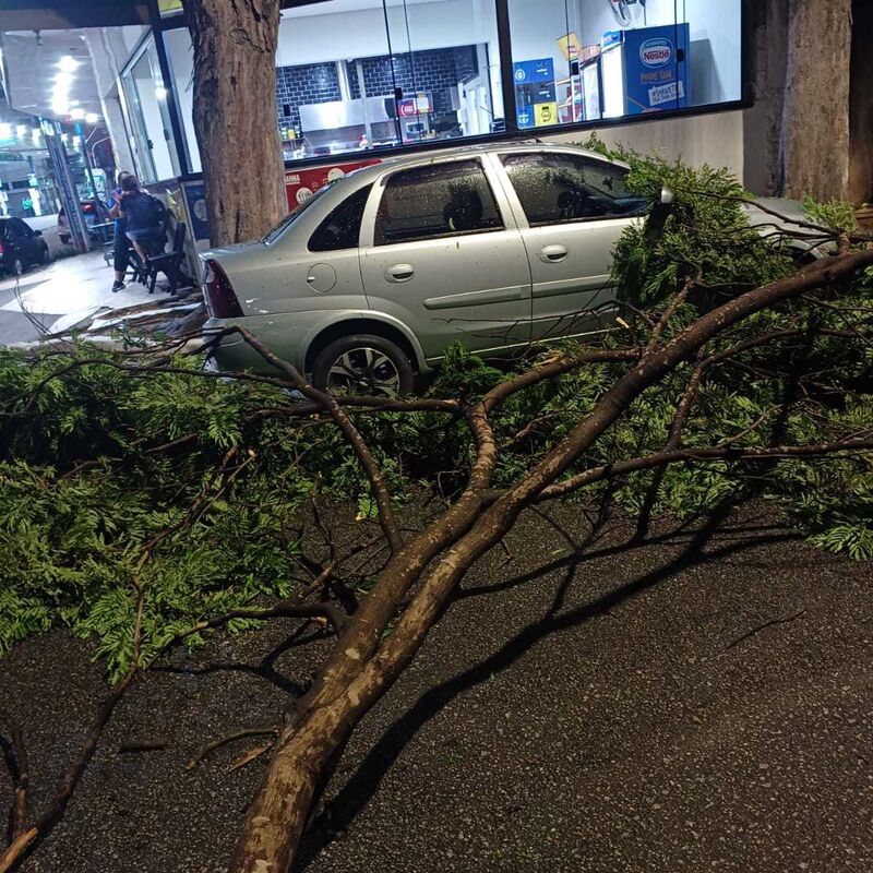 Imagem da publicação