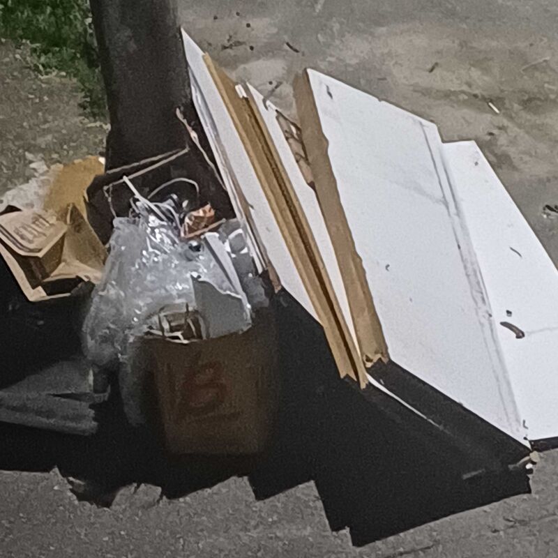 Imagem da publicação