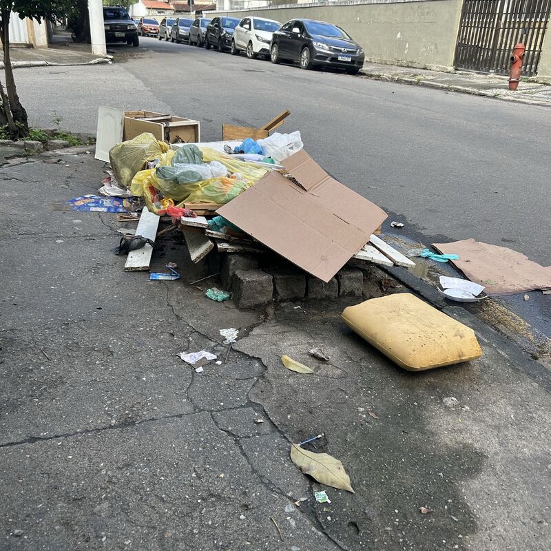 Imagem da publicação