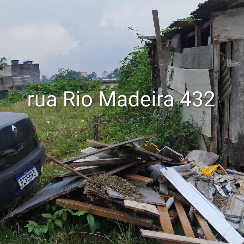 Imagem da publicação