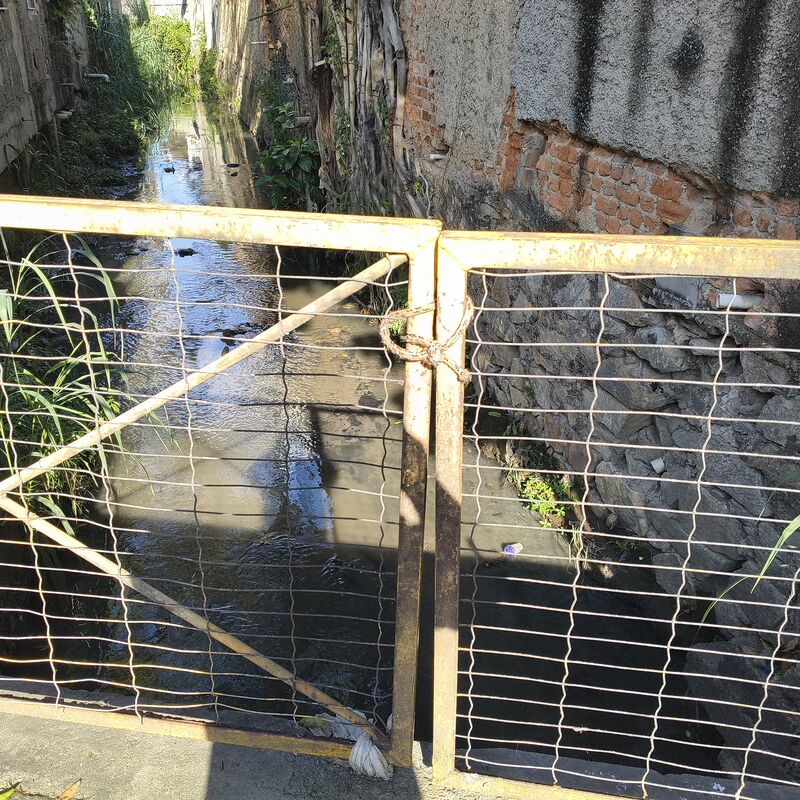 Imagem da publicação