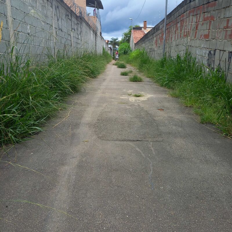 Imagem da publicação