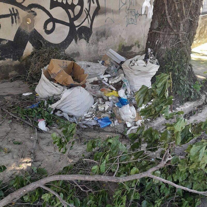 Imagem da publicação